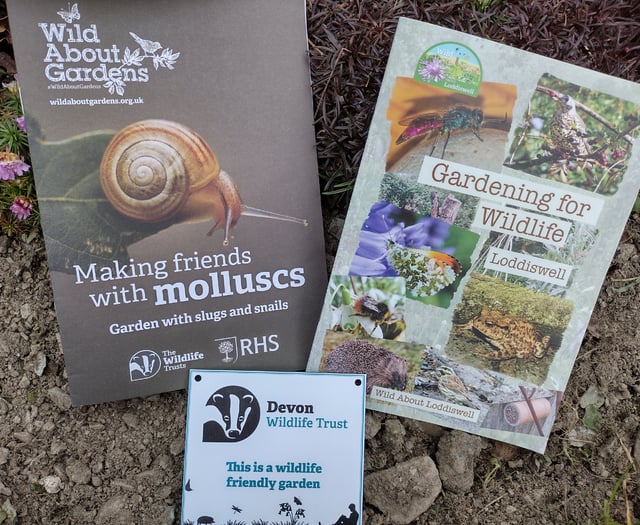 Wildlife gardening: Fiona van Es' checklist