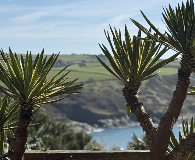 Explore Salcombe's Overbeck's Garden:  tours, walks and stunning views