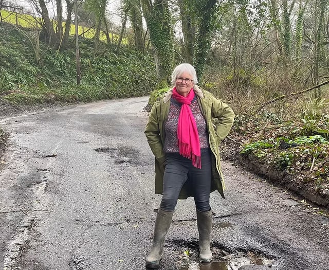 Devon councillor urges communities to help fix pothole pandemic