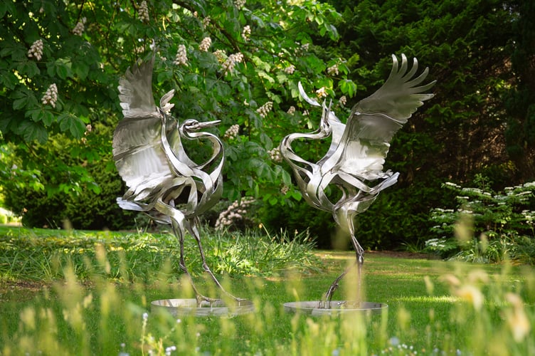 Japanese Cranes by Clare Bigger