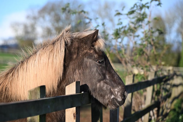 Granny seems at peace in her new home
