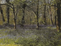 Readers pictures | The Beauty of the South Hams 
