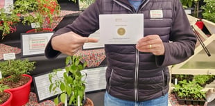 South Devon Chilli Farm wins third RHS Gold award