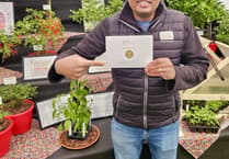 Devon farm celebrates third RHS Gold win