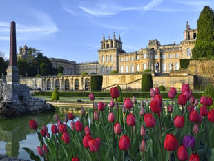 One of Britain’s most extraordinary days out at Blenheim Palace 