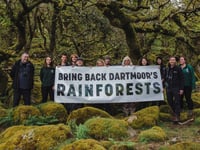 Restoring Dartmoor rainforests gains momentum