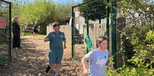 Young athletes show resilience at Blackawton cross country event