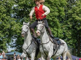 Yealmpton Show 2026: Wild West Extravaganza and more 