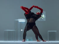 Harbour House brings dance duo Ekleido to Kingsbridge Fair Week