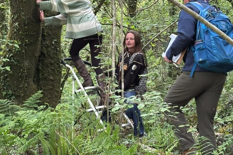 Checking the nest boxes by Cathryn Burner