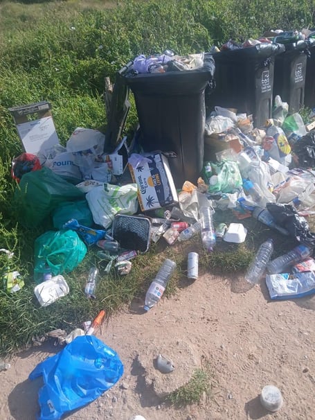 Litter and overflowing bins left at South Hams beauty spot during June heatwave.