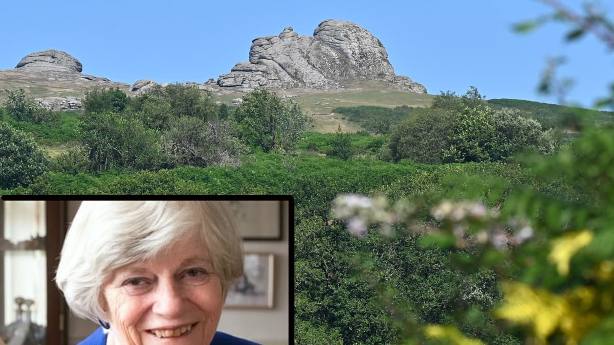 Terrorism link to Ann Widdecombe murder