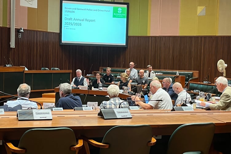 The Devon and Cornwall police and crime panel. Picture by Alison Stephenson