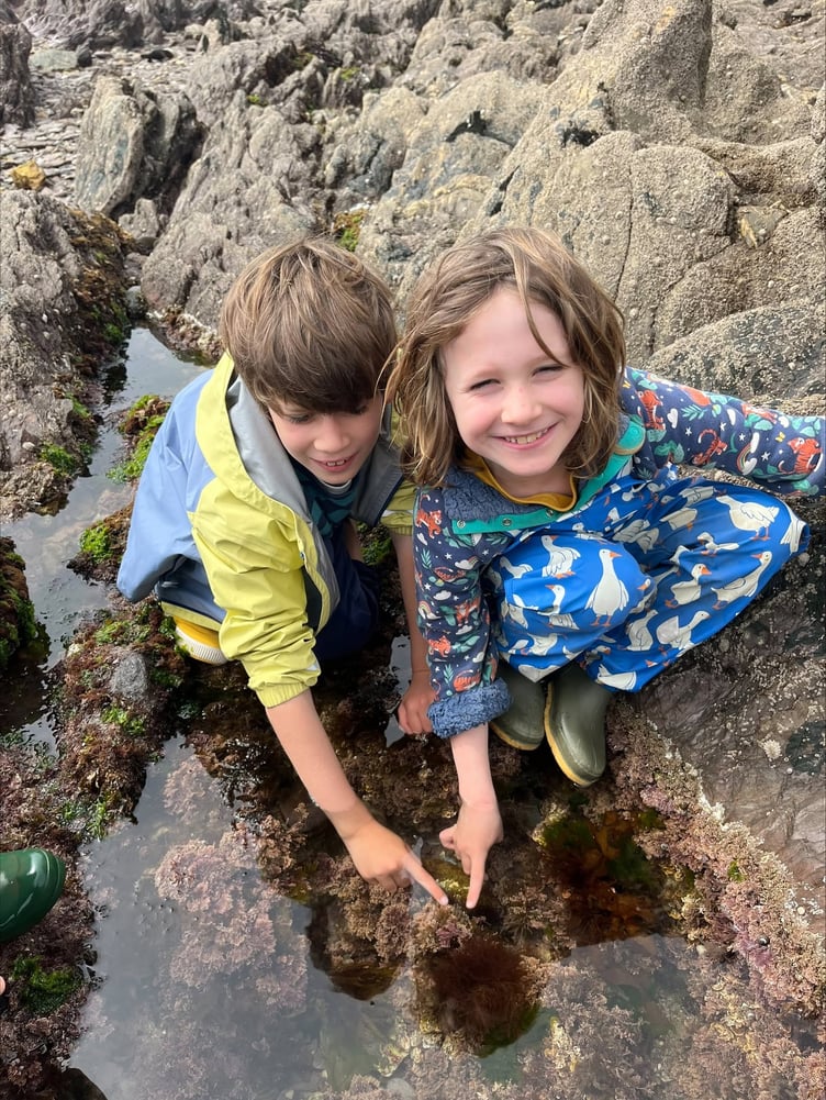 Casper and Sollie go rock pooling at Wembury
