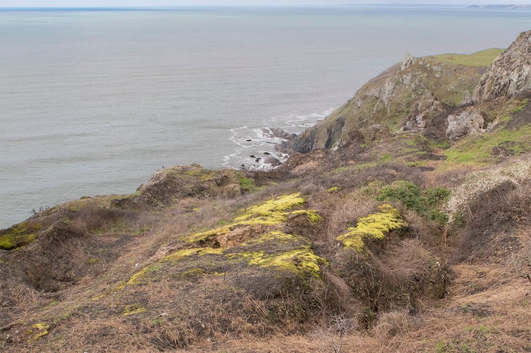 Old Iron Mine at Bolberry Down revealed by gorse fire 2023
