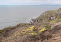 Experience South Hams AONB's hidden beauty