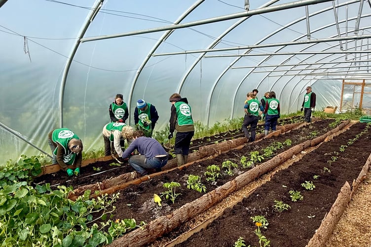 Force four Nature working in polytunnels