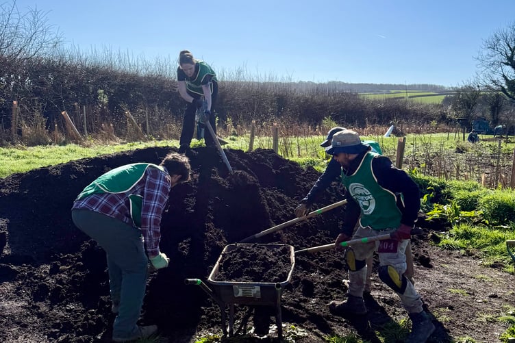 A Compost heap