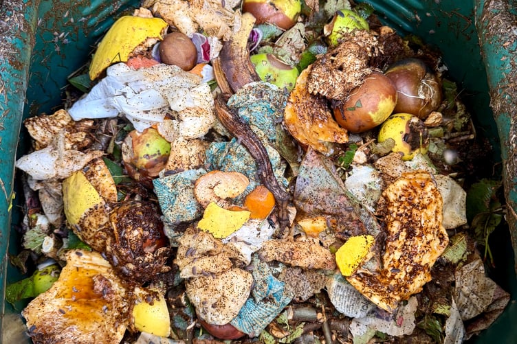 Nature turning food waste into essential resources