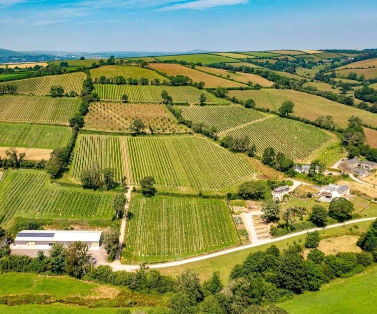 Calancombe Estate goes on the market for £4.25m.