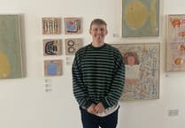 Plymouth artist's playful artwork strikes a chord with buyers
