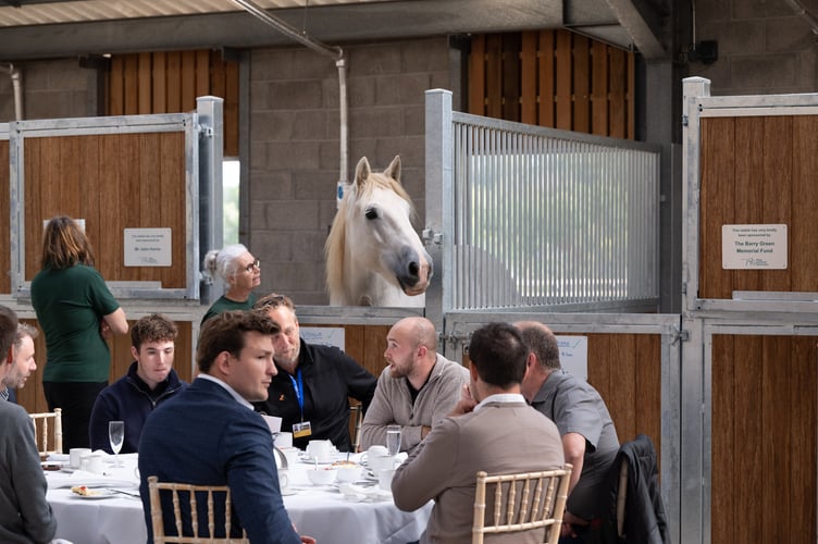 Mare and Foal Sanctuary Rosemary Kind Barn.Four-legged residents were also in attendance at the opening of the Rosemary Kind Barn