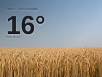 Kingsbridge: sunny day, high of 16°C