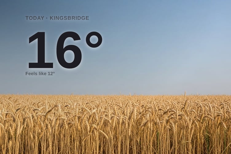 Kingsbridge weather: sunny Friday with little chance of rain and a high of 16°C